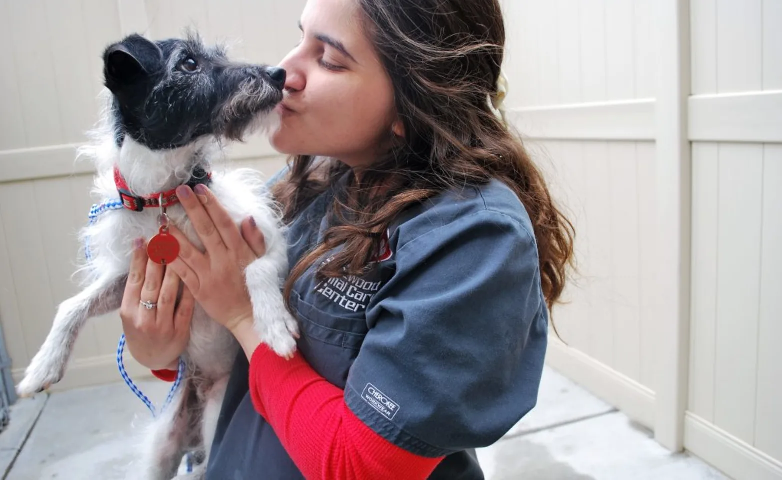 Staff kissing dog